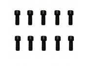 Mounting Screws