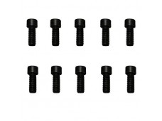 Mounting Screws